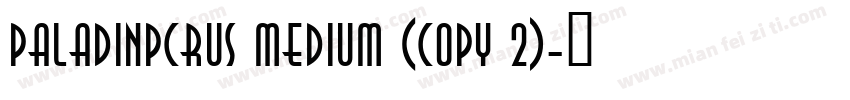 PaladinPCRus Medium (COPY 2)字体转换
